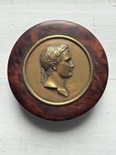 Boîte En Loupe D’orme