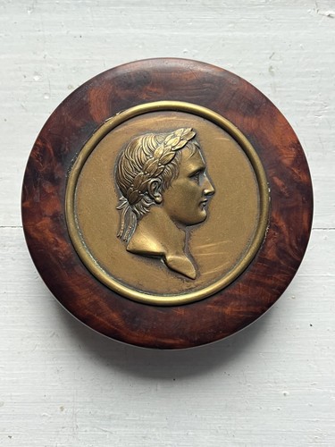 Boîte loupe orme - en,