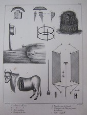 GRAVURE XIXéme  CHASSES et