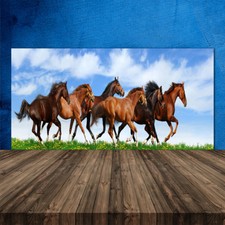 Crédence de cuisine en verre