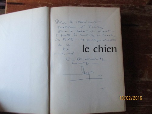Fernand mery chien - fernand,