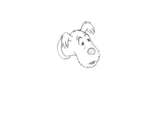 Herge adventures tintin - adventures, of