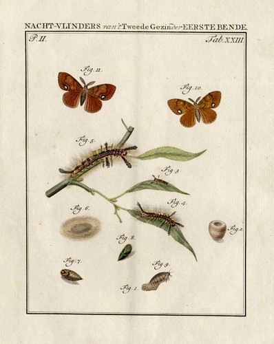 Antique print rusty - print-rusty, tussock