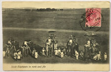 Carte postale ancienne : Eléphants en Inde (CPA/358)