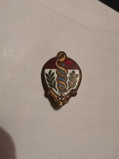 Insigne Santé 4e Section