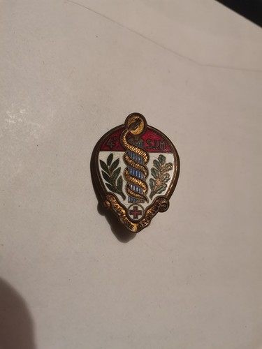 Insigne santé section - 4e,