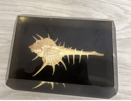 Plexiglass vintage inclusion - plexiglass,