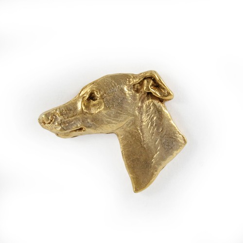 Whippet petit chien anglais - chien,