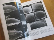  ENTOMOLOGY CLASSIFICATION