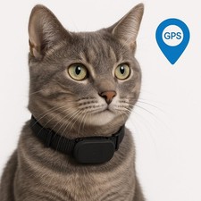 traceur gps pour chat et chien
