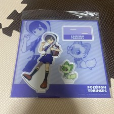 Pokemon Dresseurs Acrylique