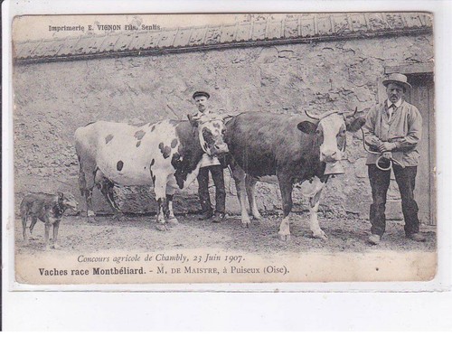 Puiseux concours agricole de - agricole,