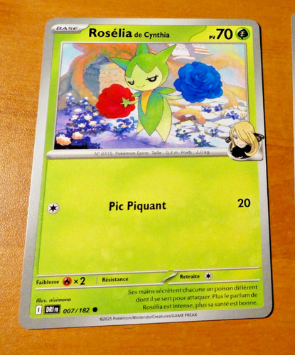 Pokemon rivalites destinees - pokemon,