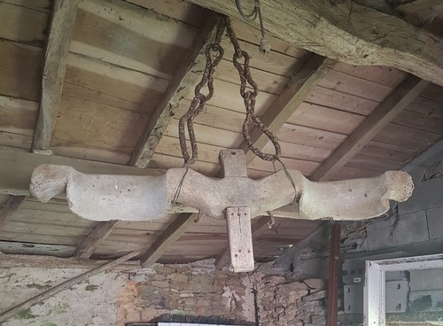 Joug boeuf bois bon - joug, bois,