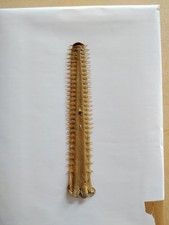 ROSTRE DE REQUIN SCIE ANCIEN