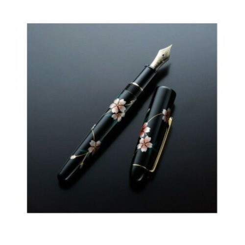 Stylo plume platinum kaga - plume,