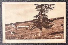 Carte postale Les Hautes Chaumes années 1920/1930