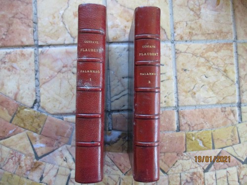 Gustave flaubert salammbo 2 - gustave,
