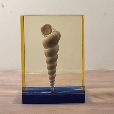 INCLUSION DE COQUILLAGE DANS