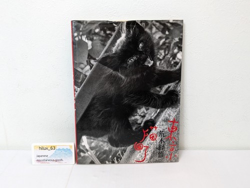 Nobuyoshi araki living cats - nobuyoshi, in