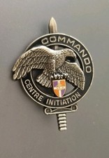 Insigne Brevet Commando Infanterie 24°RI Rare 