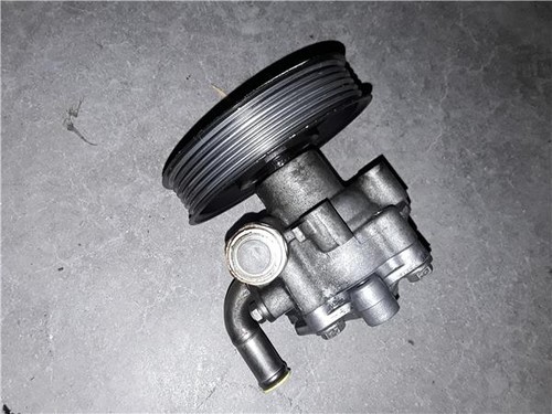 1j0422154 pompe direction - ,