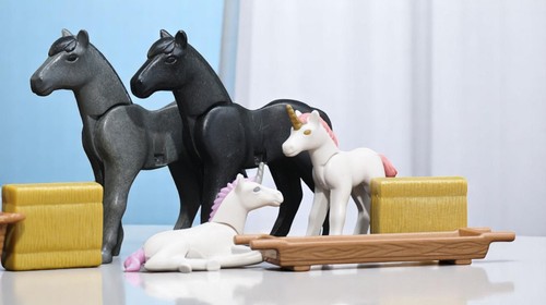 Playmobil chevaux poulain