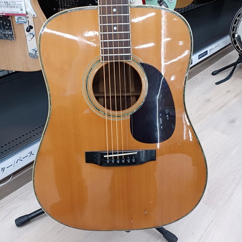 Guitare acoustique morris - acoustique,