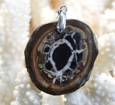 Septaria 110 carats -