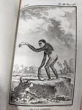 Buffon histoire naturelle - buffon.:,