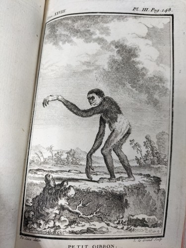 Buffon histoire naturelle - buffon.:,
