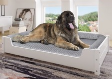 Lit douillet pour animaux