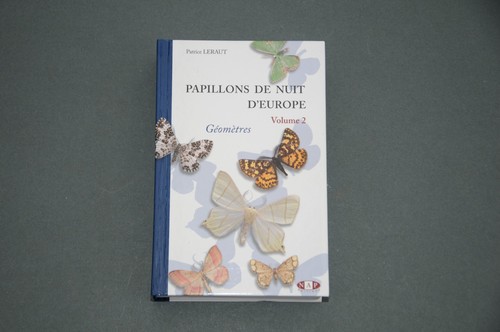 Entomologie leraut papillons - leraut,