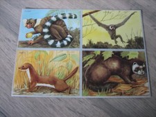 Ancienne planche images