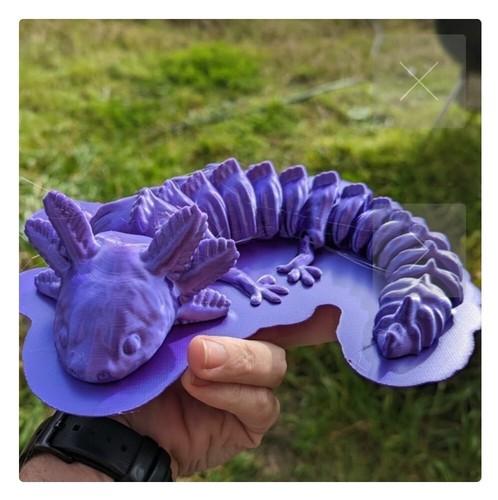 Axolotl articulé 3d - articulé, en