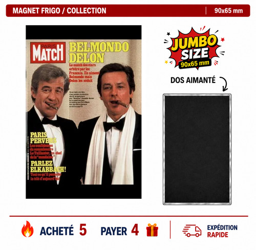 Magnet frigo alain delon - frigo,
