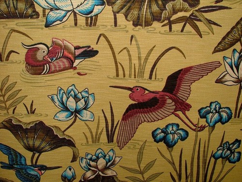 Japonais eau lily oiseaux - lily, &