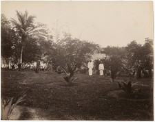 Photo Albuminé Ceylan Sri