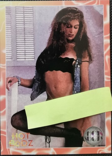 1994 hot shots - -,