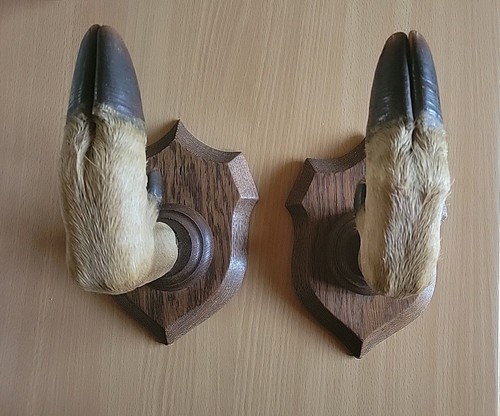 Porte fusil pieds biches - porte, de