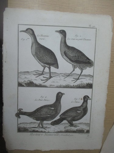 Gravure vers 1780