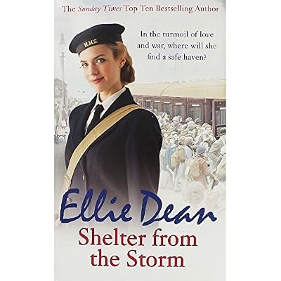 Shelter from the storm - the, storm,