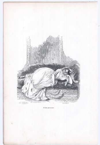Animaux savants granville - savants, 1842