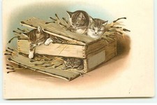 Carte en relief - Chats se cachant dans une caisse en bois - 23650