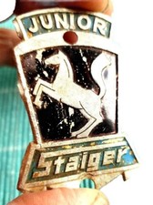 Junior Staiger, Ancien