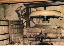 Vignes - Beaujolais - Vieux pressoir à Salles - Corban - CPM - Voir Scans Recto-