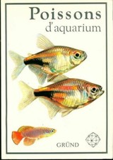 Poissons d'aquarium - Ivan Petrovicky - V2036495