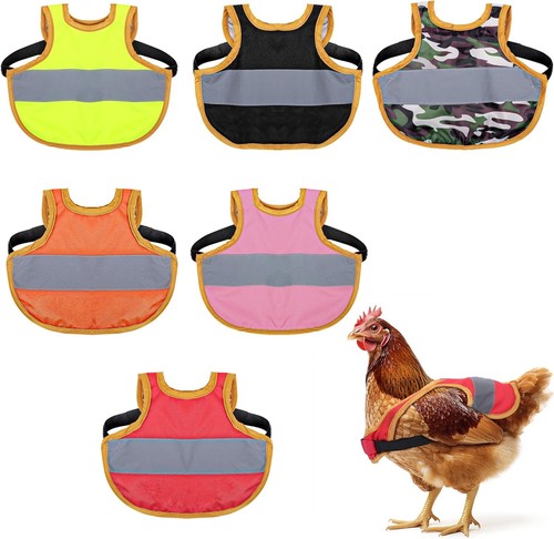 Set 6pz harnais léger pour - set,