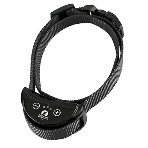 Collier entraînement - collier,