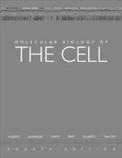 Molecular Biology Of The